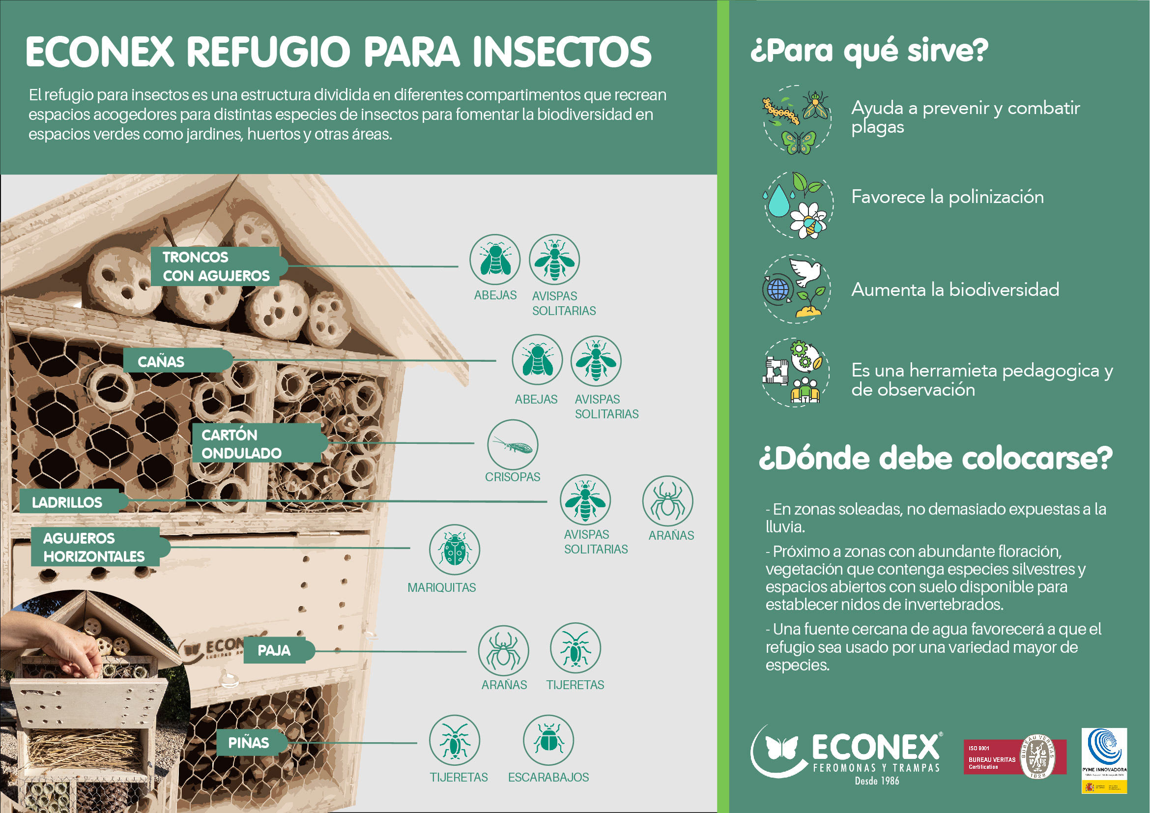 imagen muercielagos